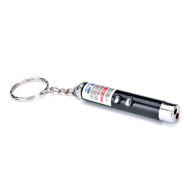 Pet Laser Light Pointer Torch Pen 6_6c988ddb-a95e-4163-b050-d88f2b096f58