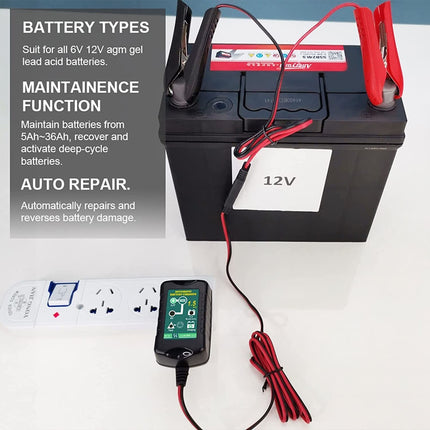 6V 12V Trickle Battery Charger 6_fad4a13e-f30a-4250-8d6a-05f3cab655ab