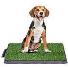 Dog Potty Tray with Grass mat 71ipklguoul._sl1200