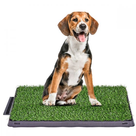 Dog Potty Tray with Grass mat 71ipklguoul._sl1200