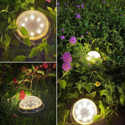 8 LED Solar Lights Garden 81fuhcdqjyl._ac_sl1200