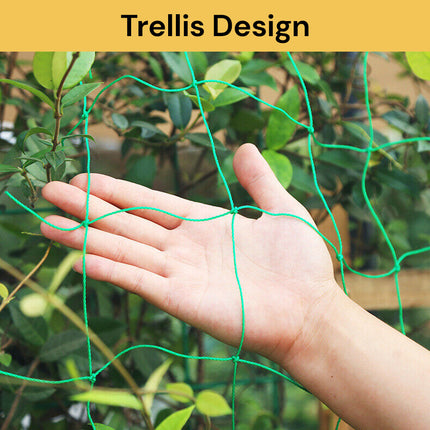 Green Plant Climbing Net GreenPlantNet02