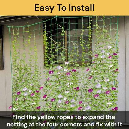 Green Plant Climbing Net GreenPlantNet05