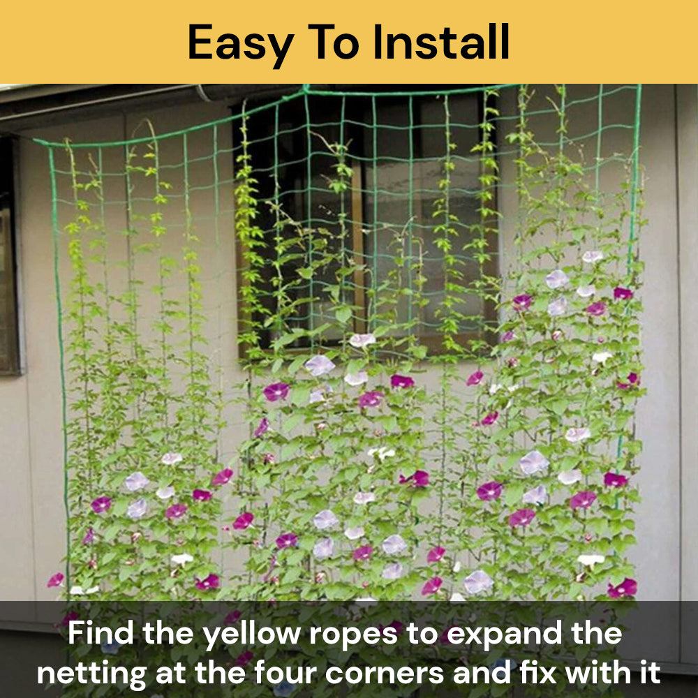 Planting Net Plant Climbing Net - Environmental friendly and reusable - Green