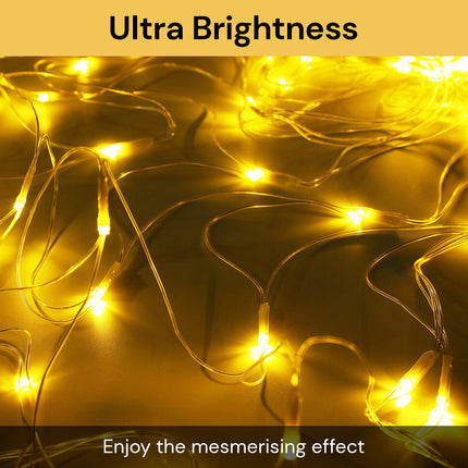Indoor Outdoor LED Net Lights LEDLight02