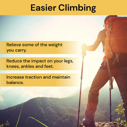 Telescopic Hiking/Trekking Pole TrekkingPole09