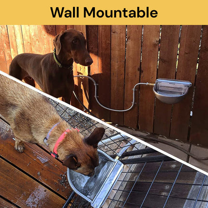 Automatic Water Bowl WaterBowl02