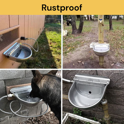 Automatic Water Bowl WaterBowl03