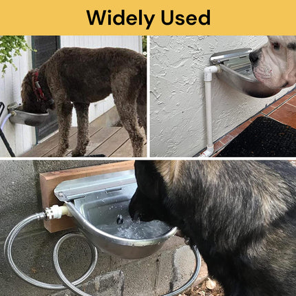 Automatic Water Bowl WaterBowl09