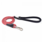 KL-041 PET PULL ROPE asdfghj_1