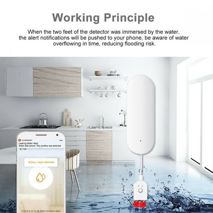 Wifi Water Leakage Detector Water Leak Sensor dvsdfdfg_3