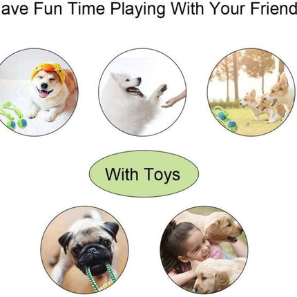 7Pcs Dog Rope Toys Braided Rope fdsfds