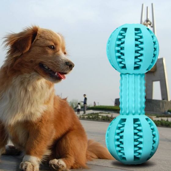 PT5 Dog Rubber Dumbbell Toy