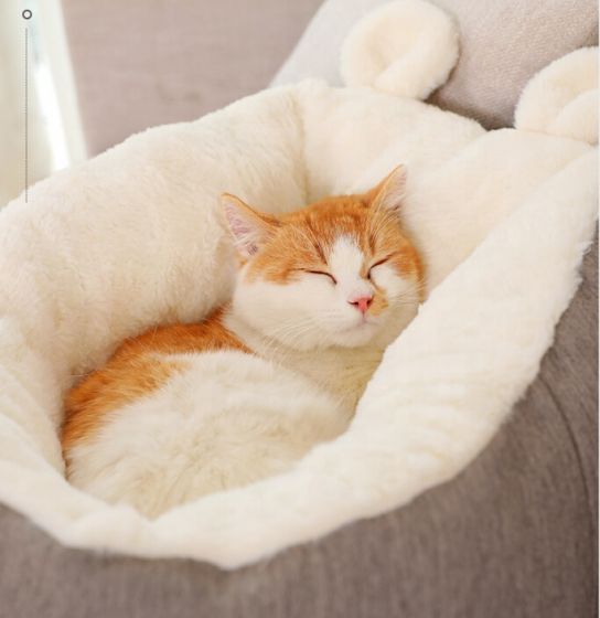 Warming Cat bed h9ffa71e8d4134f65bb543efd365a0576l