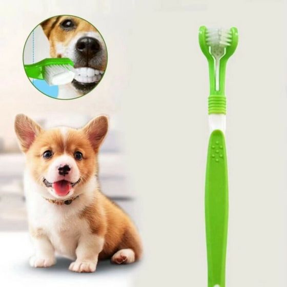 Three-sided Pet Toothbrush ret43543